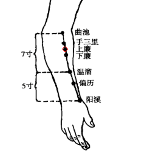 上廉