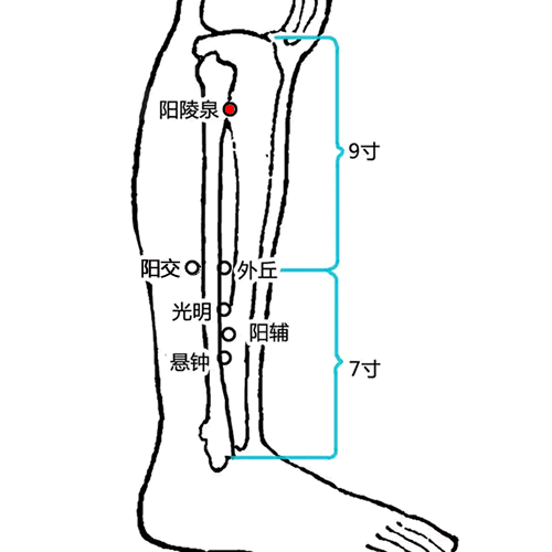 阳陵泉