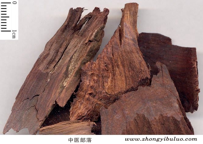 降香 - 图片2