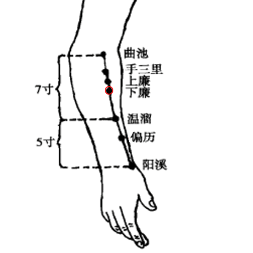 下廉