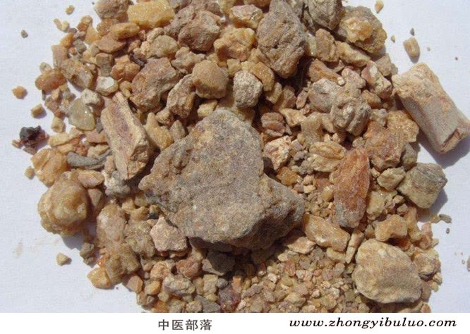 琥珀 - 图片2
