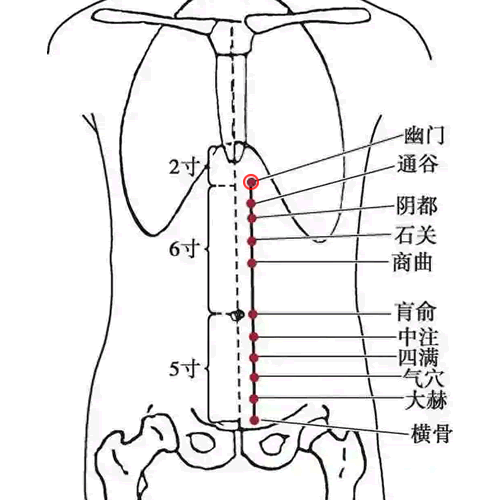 幽门