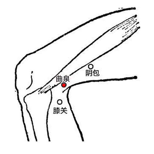 曲泉