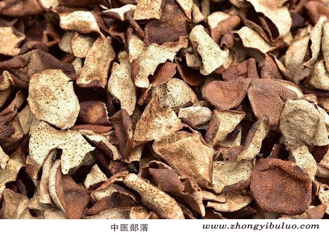 陈皮 - 图片3