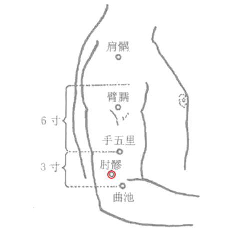 肘髎