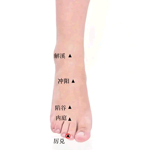 厉兑