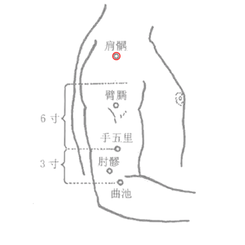 肩髃