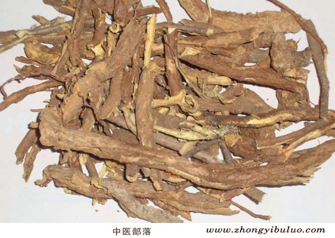 香加皮 - 图片2