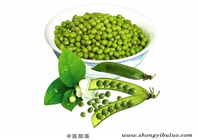 绿豆 - 图片2