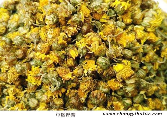 野菊花 - 图片2
