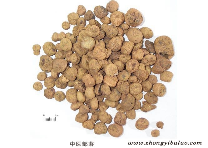 延胡索 - 图片2