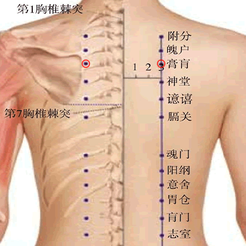 膏肓