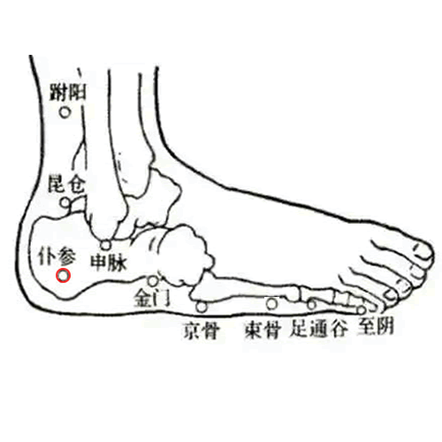 仆参