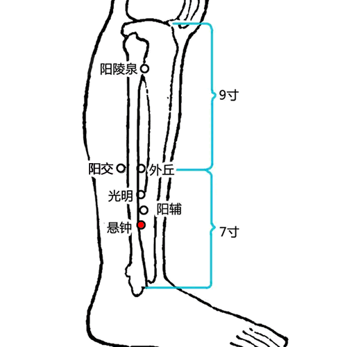 悬钟