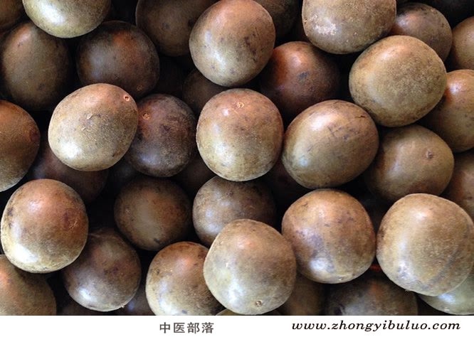 罗汉果 - 图片2