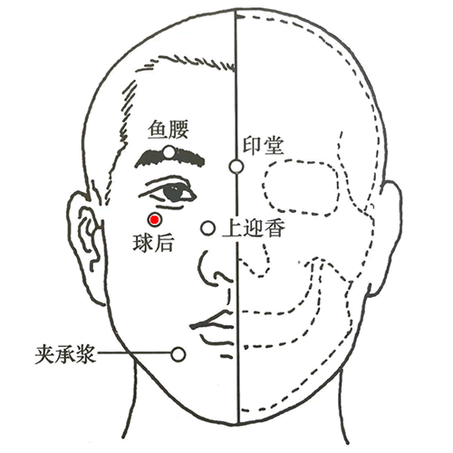 球后