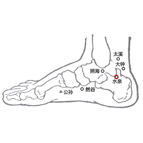 水泉