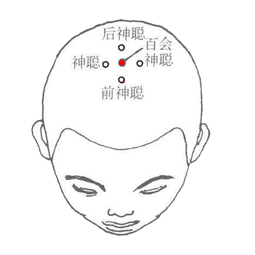 百会