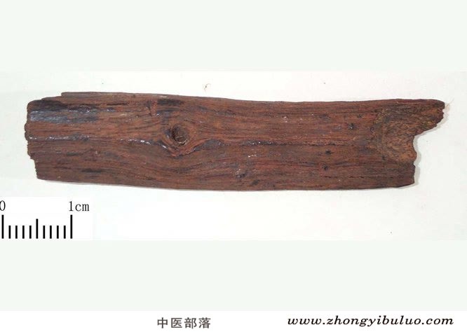沉香 - 图片2