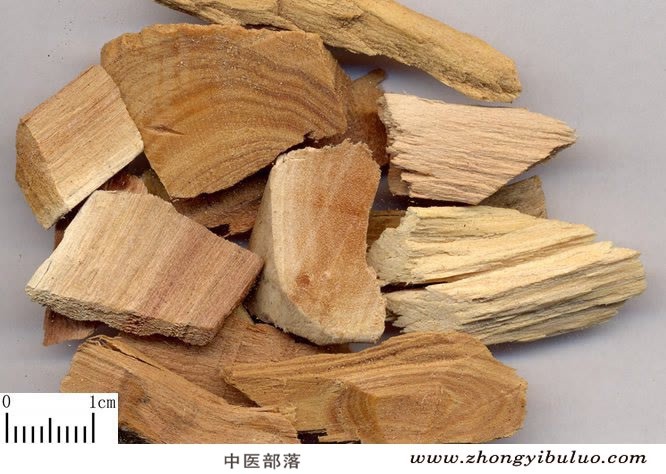 檀香 - 图片2