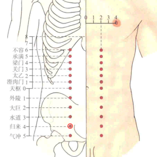 归来