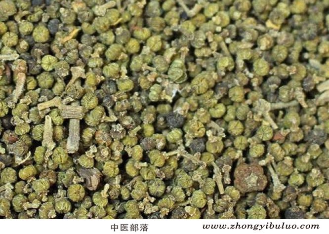 吴茱萸 - 图片2