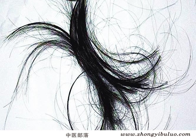 血余炭 - 图片3