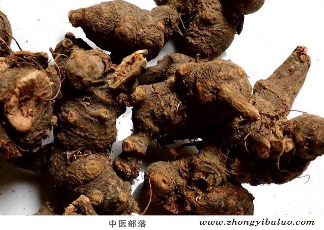 金荞麦 - 图片2