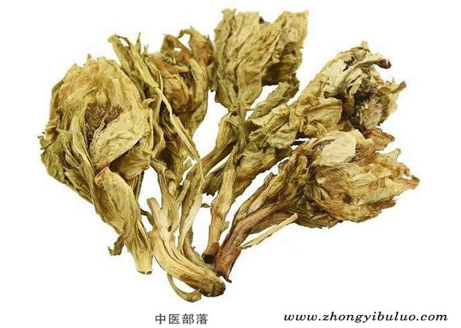 雪莲花 - 图片2
