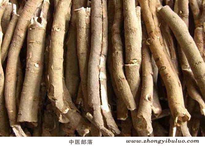 牡丹皮 - 图片2