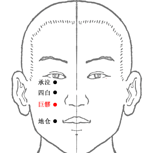 巨髎