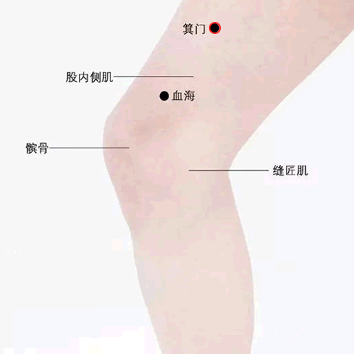 箕门