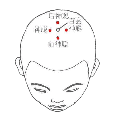 四神聪