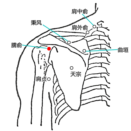 臑俞