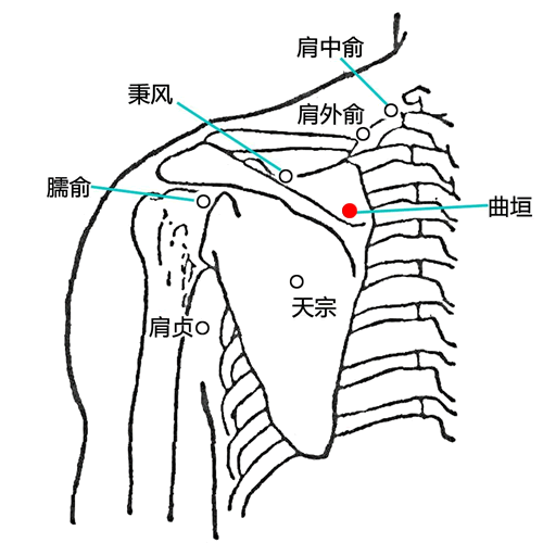 曲垣