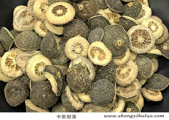 枳实 - 图片2