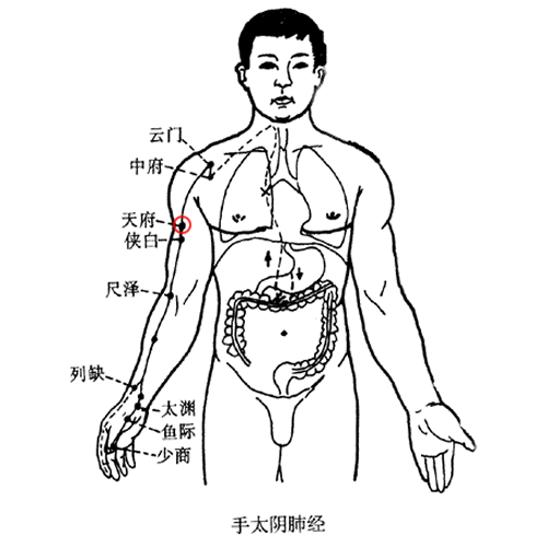 天府