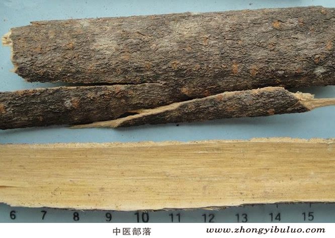 合欢皮 - 图片2
