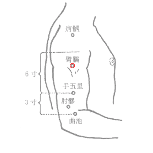 臂臑