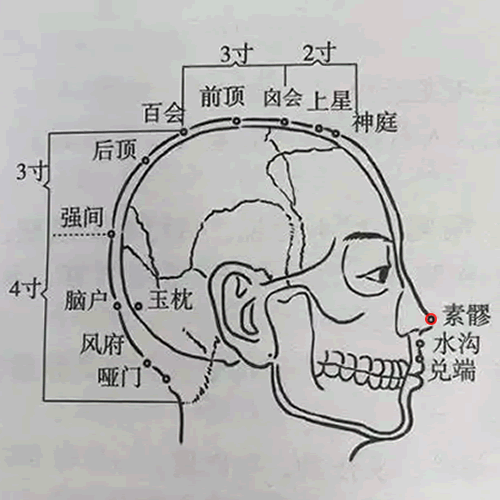 素髎