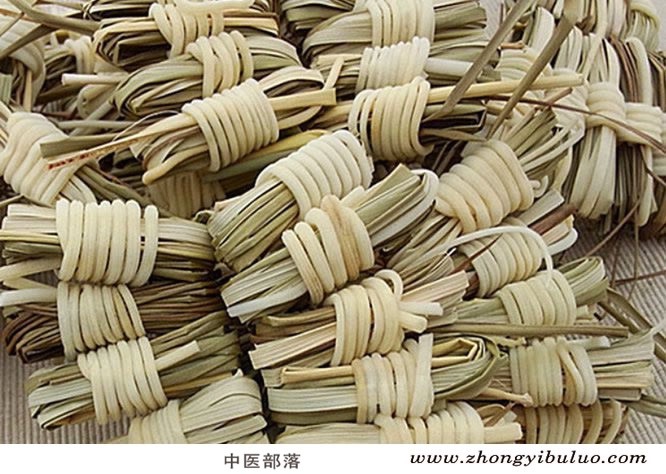 灯心草 - 图片2