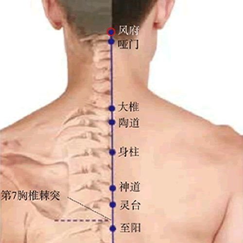 风府