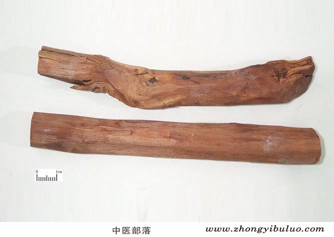 苏木 - 图片2