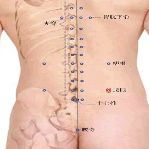 腰眼