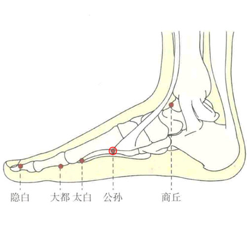 公孙