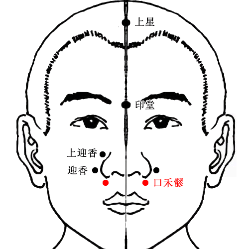 口禾髎