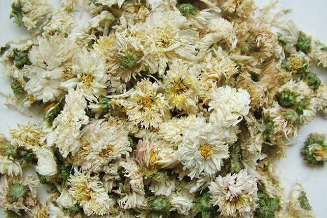 菊花