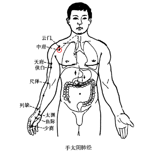 中府