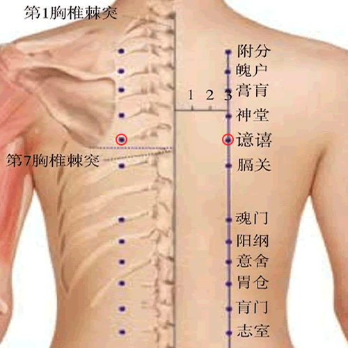 譩嘻