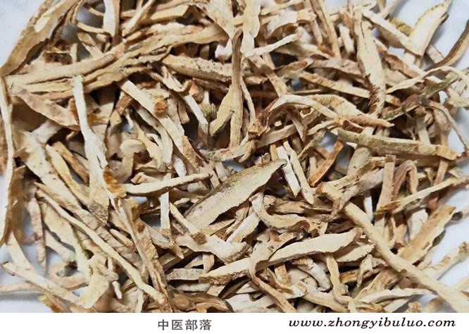 香橼 - 图片2